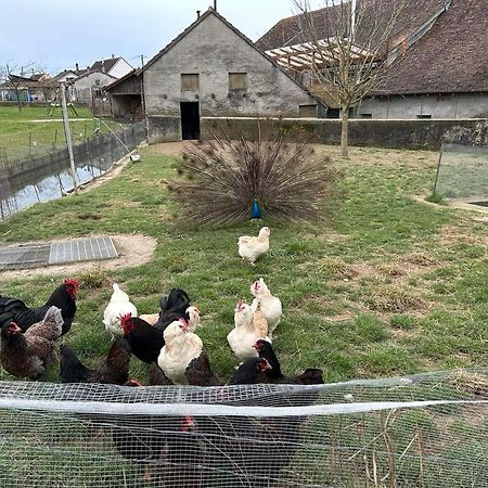 Maison Au Sein D'Une Ferme Βίλα Rahling Εξωτερικό φωτογραφία