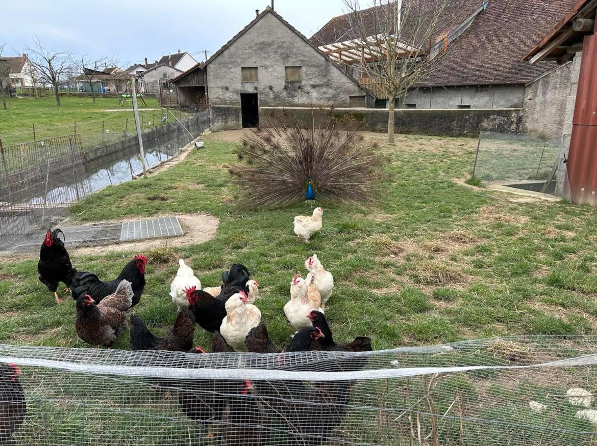 Maison Au Sein D'Une Ferme Βίλα Rahling Εξωτερικό φωτογραφία