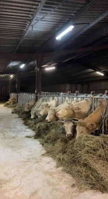 Maison Au Sein D'Une Ferme Βίλα Rahling Εξωτερικό φωτογραφία